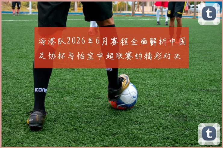 海港队2026年6月赛程全面解析中国足协杯与怡宝中超联赛的精彩对决