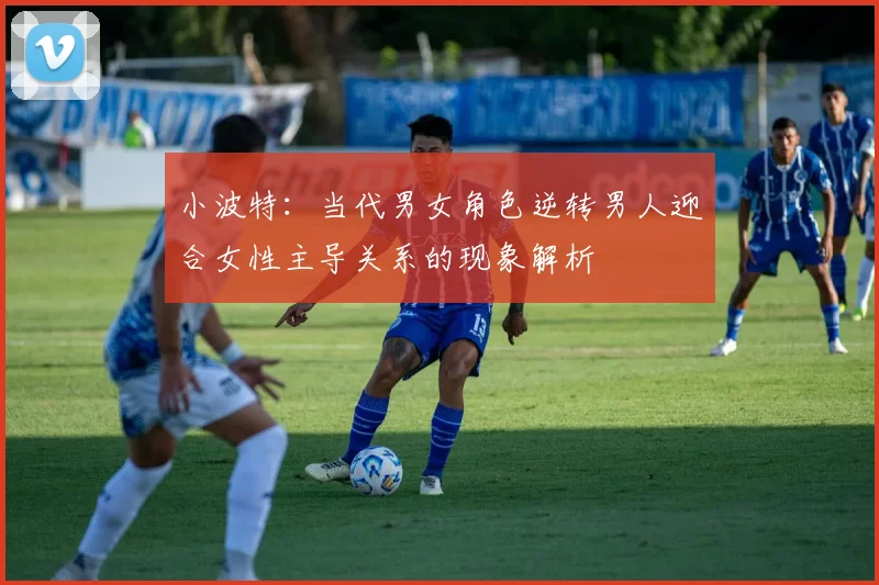 小波特：当代男女角色逆转男人迎合女性主导关系的现象解析